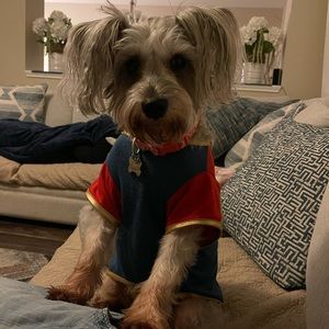 Meet your Posher, Rene